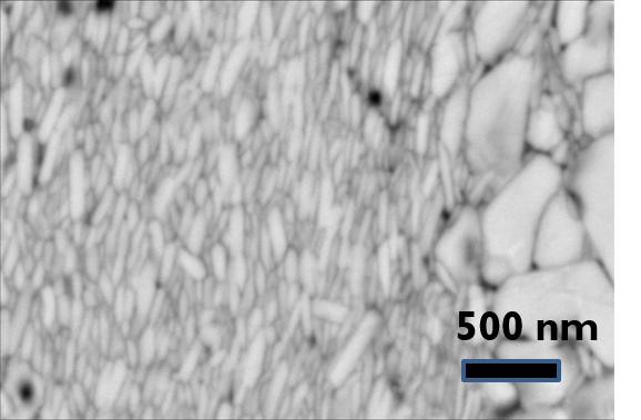 image from scanning electron microscope of NdFeB particles after hot rolling